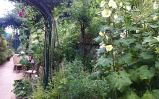 Hidden Gardens of Paris