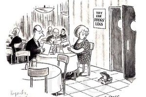 Sometimes You Just Need a Cartoon