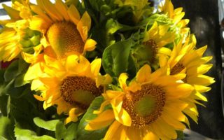 Happy Faces of Coustellet in the Luberon