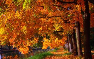 Fermes de Gally: Harvest Days at the Gally Farms by Paris
