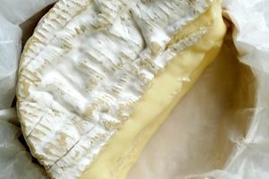Camembert