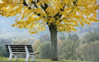 Autumn in Beaujolais by Photojournalist Clay McLachlan