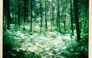 Daytrip to Fontainebleau by Clay McLachlan