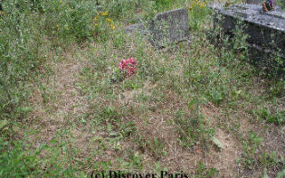 A Final Resting Place for Beauford Delaney