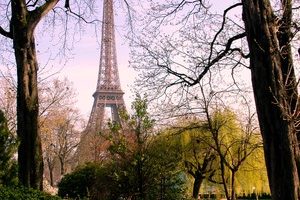 Picnicking in Paris: A Piece of Cake