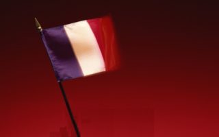 What You Wanted to Know About the French