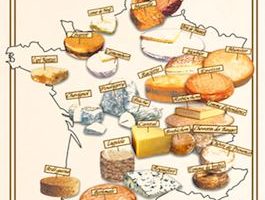 French Cheese Course: Selection and Etiquette Tips