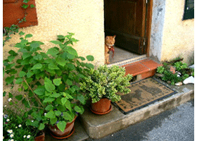 Living In Provence: Getting There