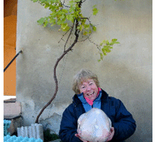 Living in Provence: Thanksgiving