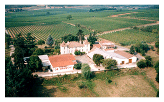 Gourmet Buzz: Cahors, foie gras, and more