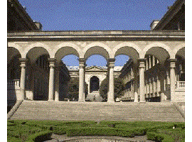 Save Our Hôtel-Dieu