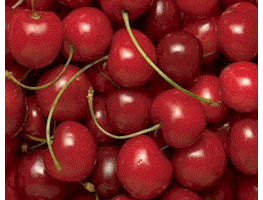 French Cooking: Tarte aux cerises