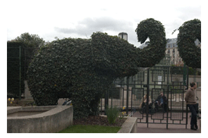 Boys In Paris