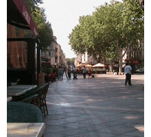 Arrival at Avignon