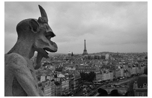 Snapshots of Paris Shopping