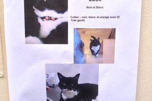 Finding Jack