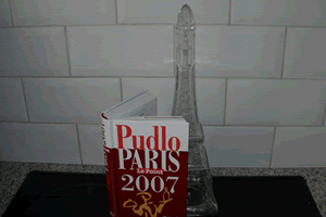 Pudlo Paris 2007 Buzz Extra