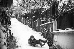 Photo of the Week – March 15, 2013