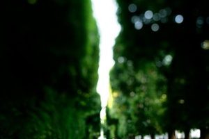 Jardin du Luxembourg