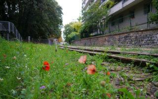 Secret Paris Parks: La Petite Ceinture in the 15th Arrondissement