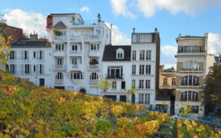 Bacchus-Style Merriment at Montmartre’s Grape Harvest