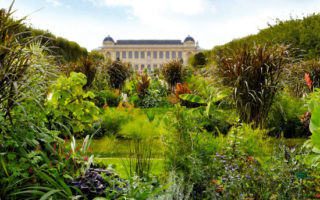 The Fabulous History of the Jardin des Plantes in Paris