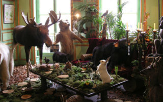 Deyrolle: A Natural Curiosity in Paris
