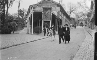 Time Travel to the Treehouses of Robinson