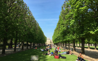 La Première Fois: Don’t Touch the Grass! by Everett Kent