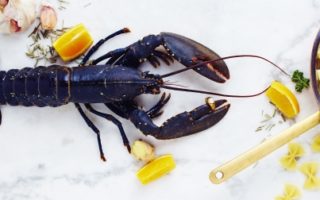 April Food Buzz: The Best Restaurants in Paris this Spring