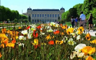Your Everything Guide to the Must-See Gardens of Paris