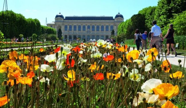 Your Everything Guide to the Must-See Gardens of Paris