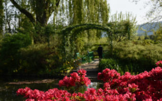 Monet’s Giverny Gardens: Impressions of Color