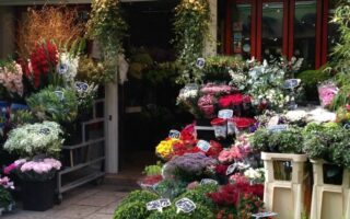 First Time in Paris? Helpful Hints for your Trip