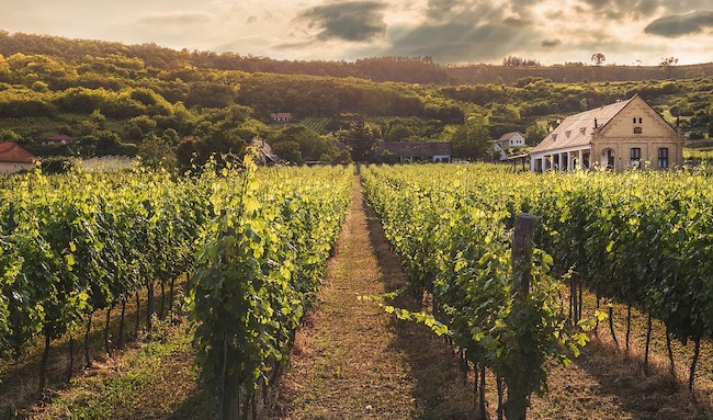 Weekend Trips from Paris: La Route du Champagne en Fête 2018