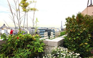 For Sale: Paris Apartment with Terrace Views of the Eiffel Tower