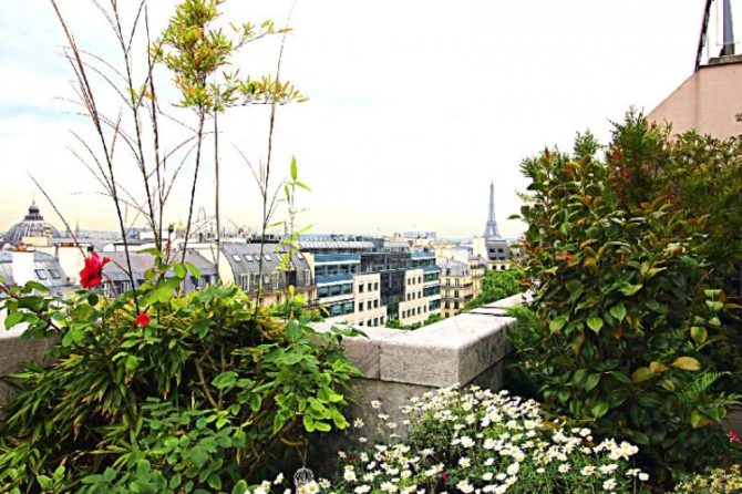For Sale: Paris Apartment with Terrace Views of the Eiffel Tower
