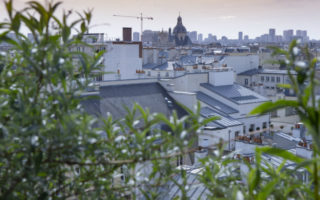 Restaurant Au Top: Rooftop Views of the Marais District