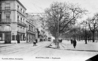 Book Review: The Parisian by Isabella Hammad