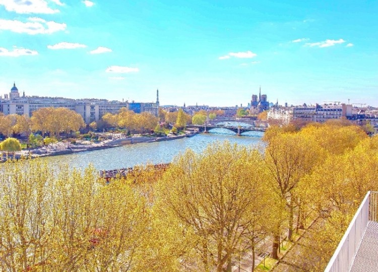Paris apartment for sale