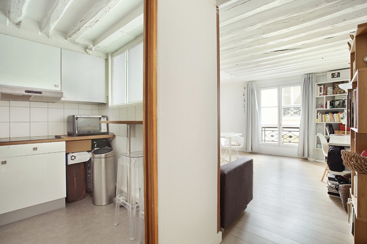 Paris apartment for sale