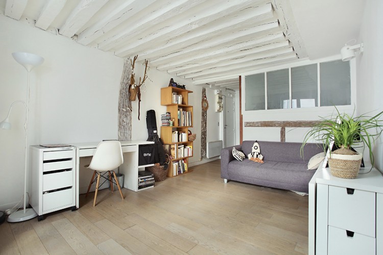 Paris apartment for sale