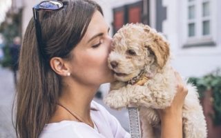 Paris is for Dog Lovers: The Ultimate Guide to Dog Friendly Paris