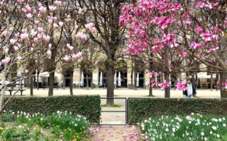 Lockdown Love: Our Favorite Things about Paris