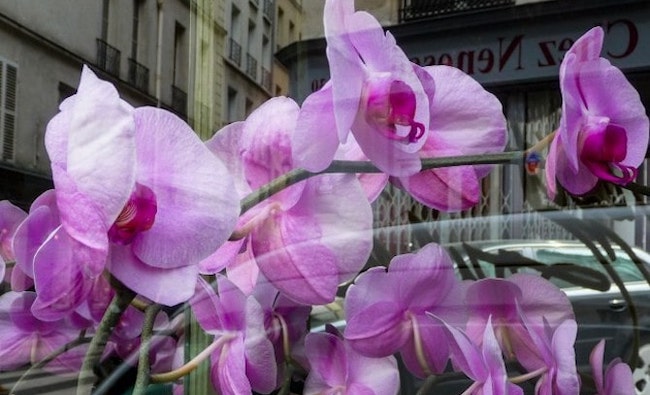 50 Things I Miss About Paris: Part VII