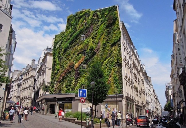 An Extraordinary Christmas Tree Inspired by Paris’s Commitment to Sustainability