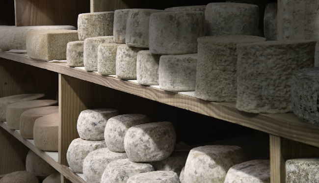 Favorite Fromage in Paris: Alléosse, Master Cheese Affineur since 1976