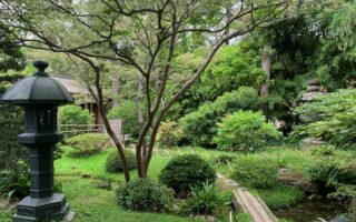 Quenching my Wanderlust at Jardin Albert Kahn