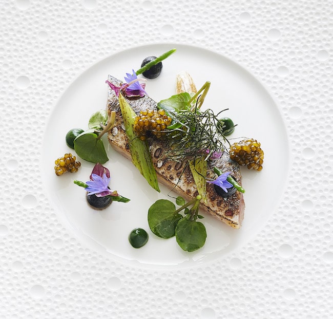 The charred mackerel at L'Oiseau Blanc Restaurant