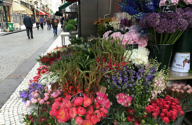 What’s the Best Month to Visit Paris?